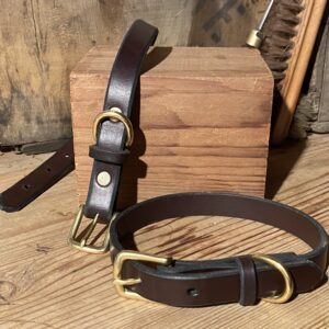 Small Dog Collar