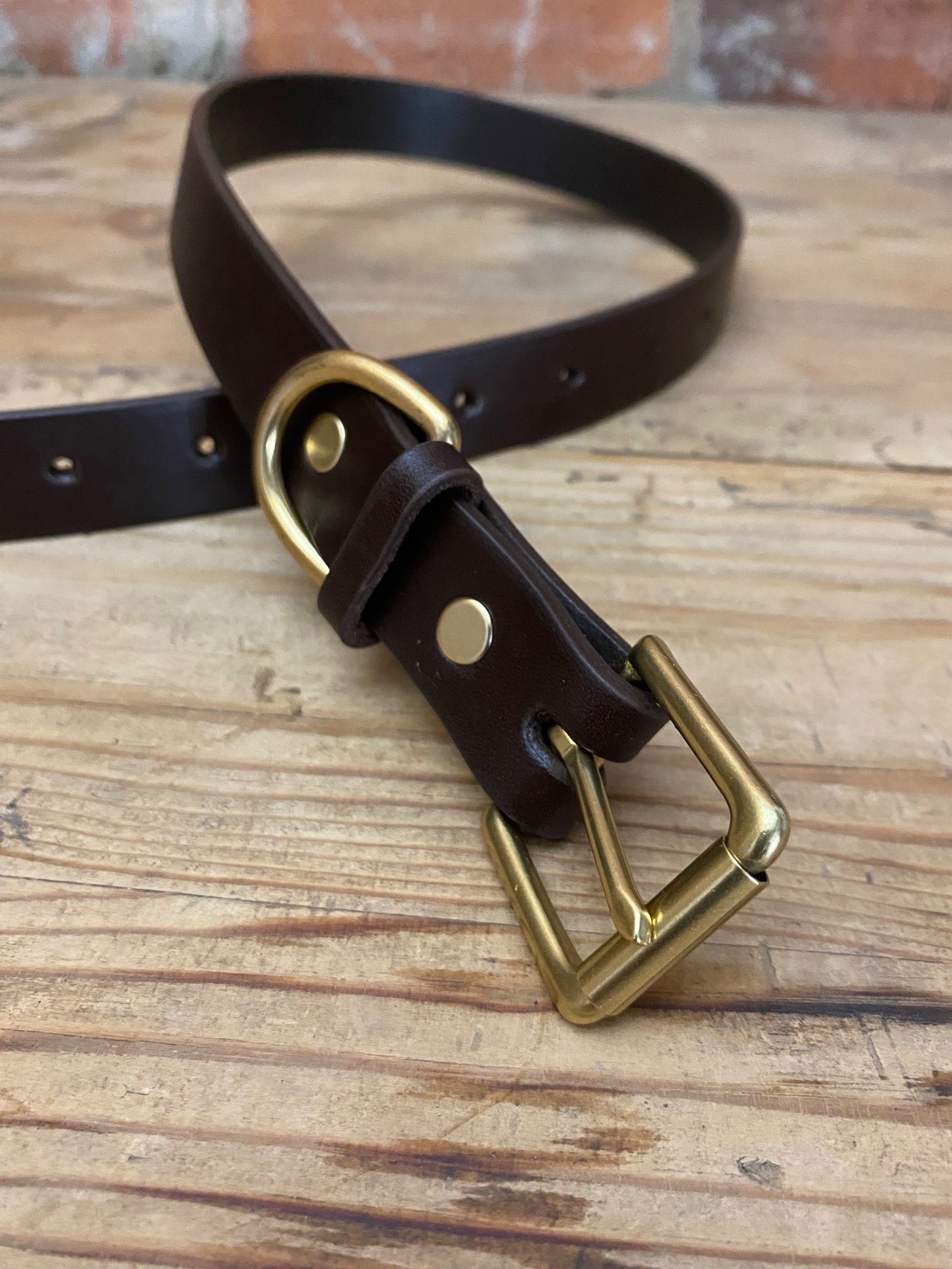 Large Dog Collar